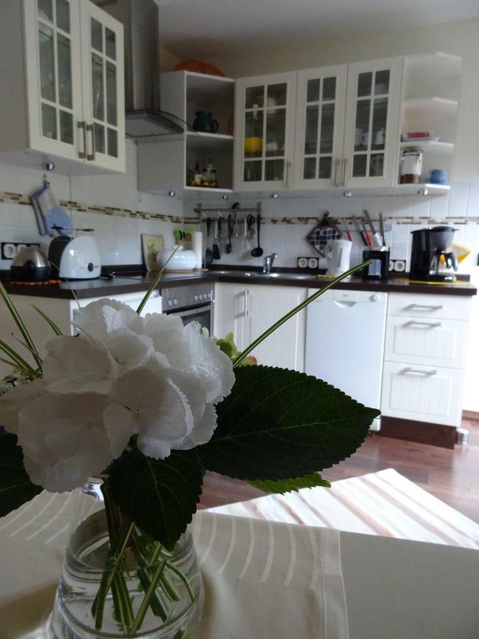 Ferienwohnung Orchidee Bad Munstereifel Εξωτερικό φωτογραφία
